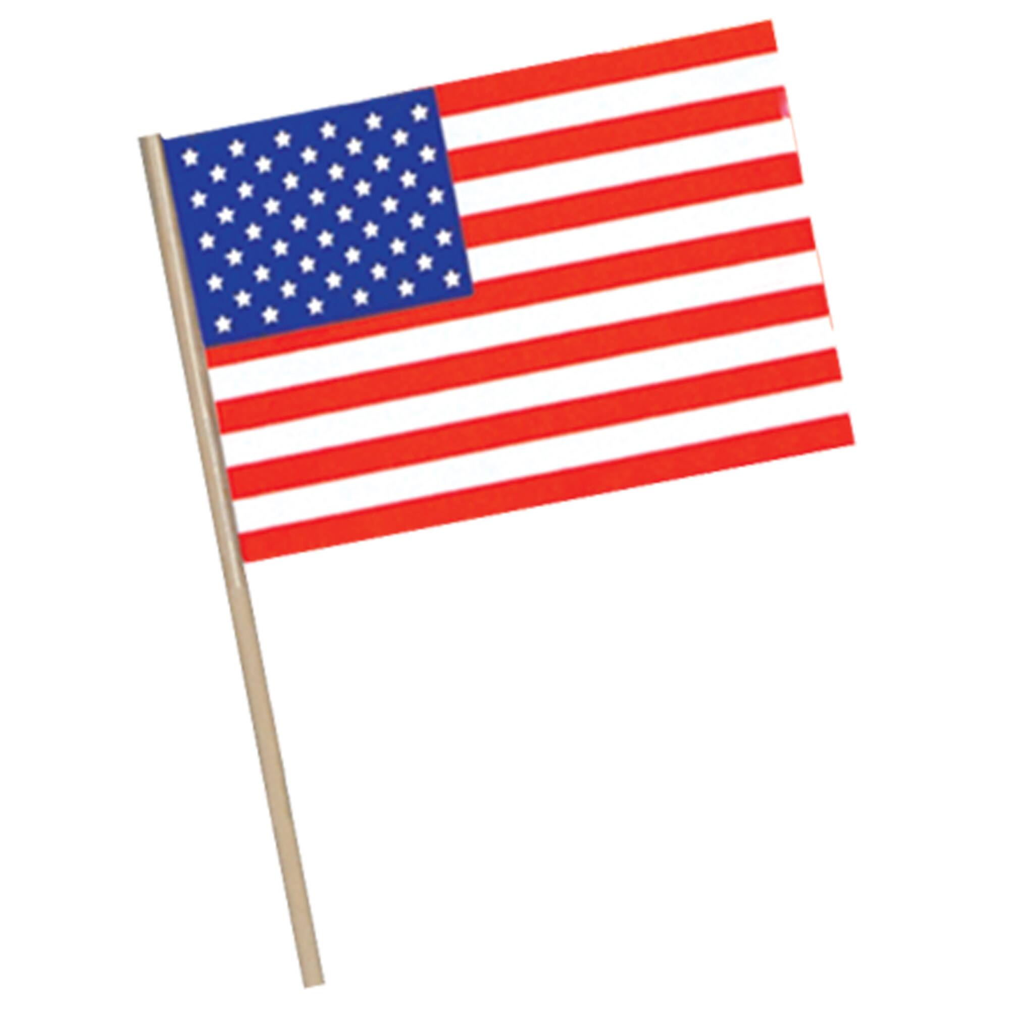 Beistle 11" x 17" Red, White & Blue Plastic American Flags, 8ct.